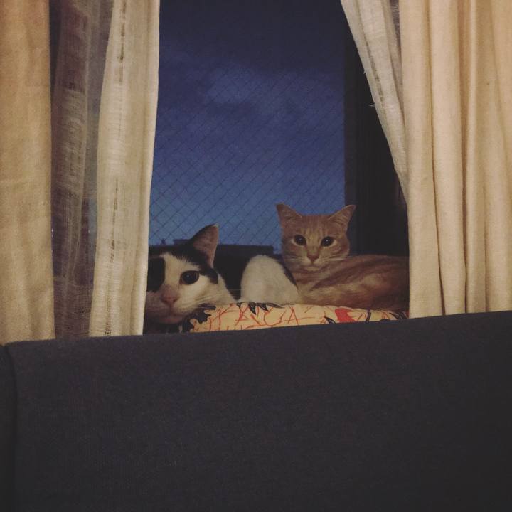 06ec9263 defb 499e 9a43 2fab7a7c0b7b 1569589139527