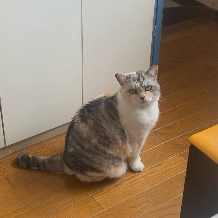 06ec95ff 80d4 435e 9c6a d1add44c738f 1717290156516