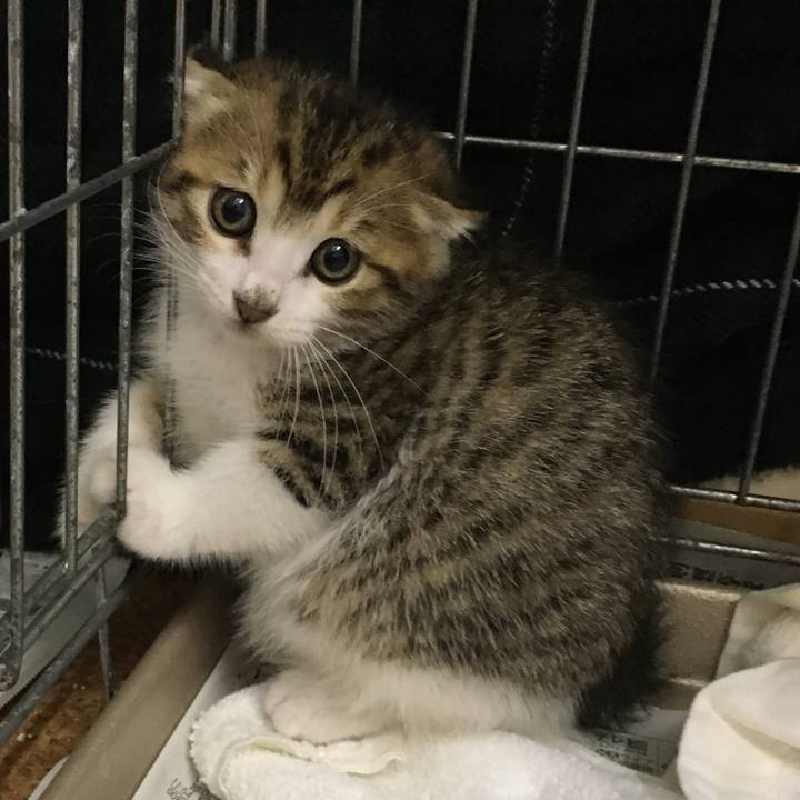 06ecbbe3 f8e1 43e7 a9d5 7c66db4b1f06 1562143759700