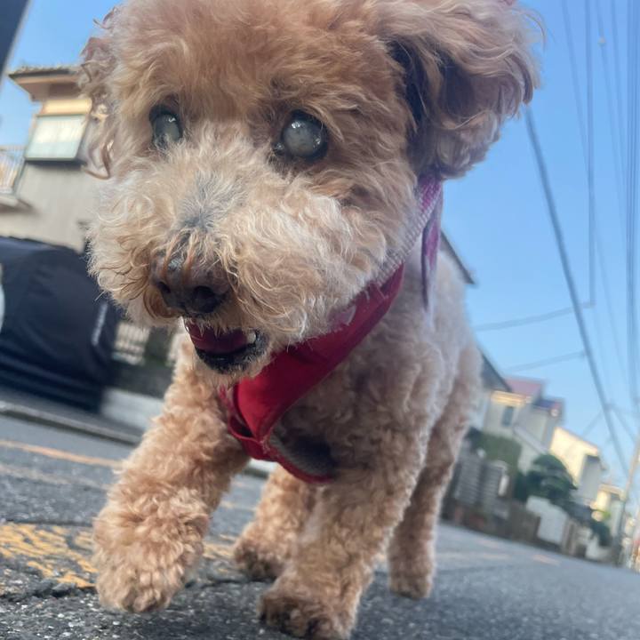 06ed11c3 b9ae 4804 b27a 52241468d624 1759241193952