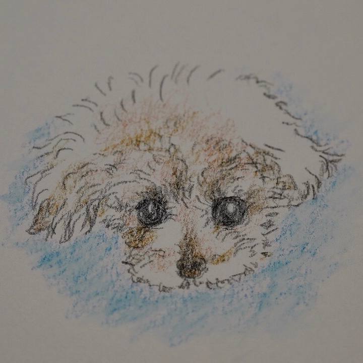 06ed135d 3c30 4103 b9e0 00215fcb6fc1 1737646016592