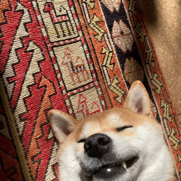 06ed1edc 4dd7 4b55 82cd 9d9e2a41f550 1704768670535