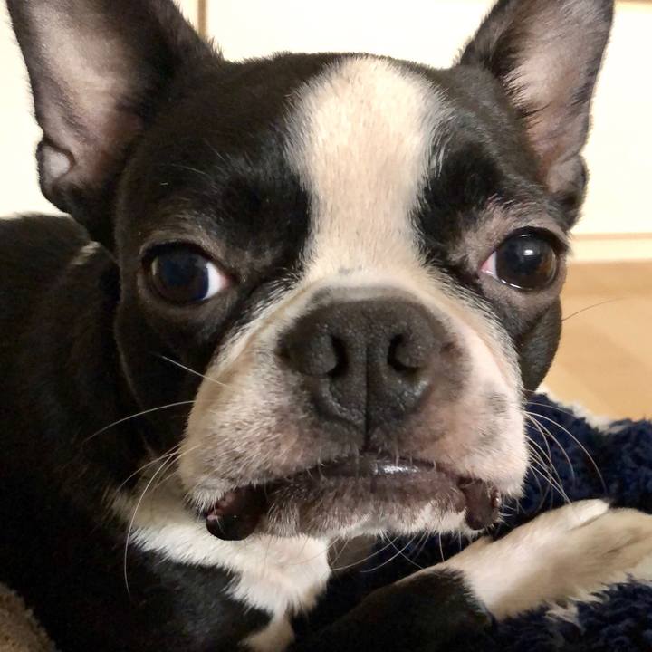 06ed2993 0513 4869 97c9 623543cbf6bc 1513428174191