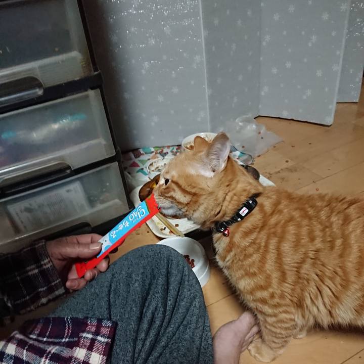 06ed7581 40ea 4610 a79a e8f0b8c790e6 1640207025884