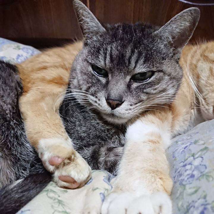 06edb8e4 07c1 413b 998d 5a25cb4f6374 1581943438588