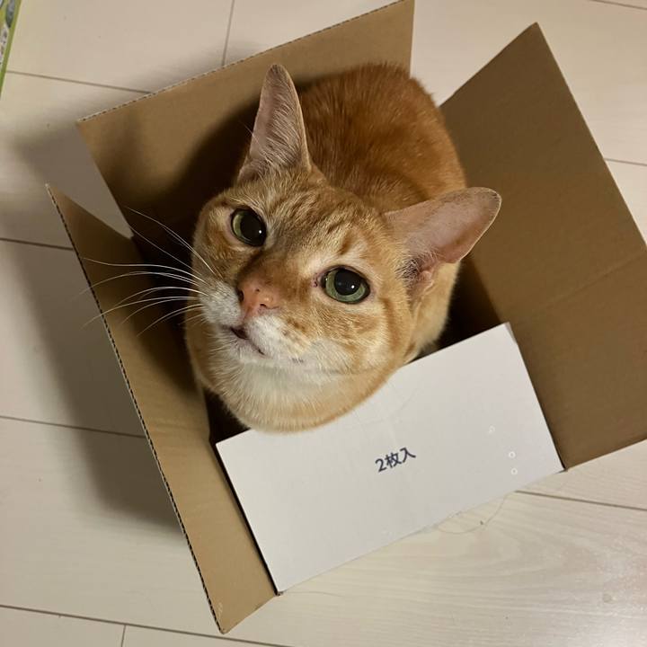 06edd39d 5ac8 4b14 b0c6 ef50eef3e6da 1758618906629