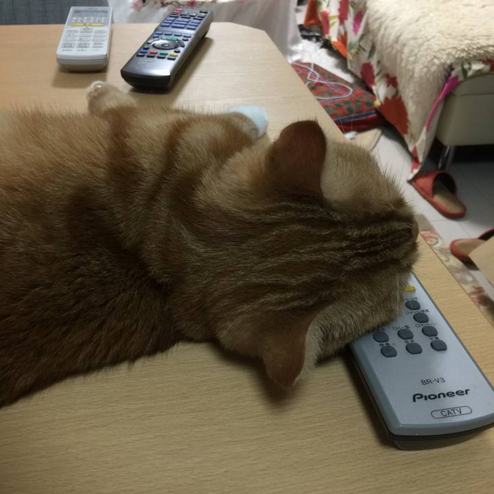 06edd9c7 f1fd 4874 a9fe 52599b88dc5f 1562083765510