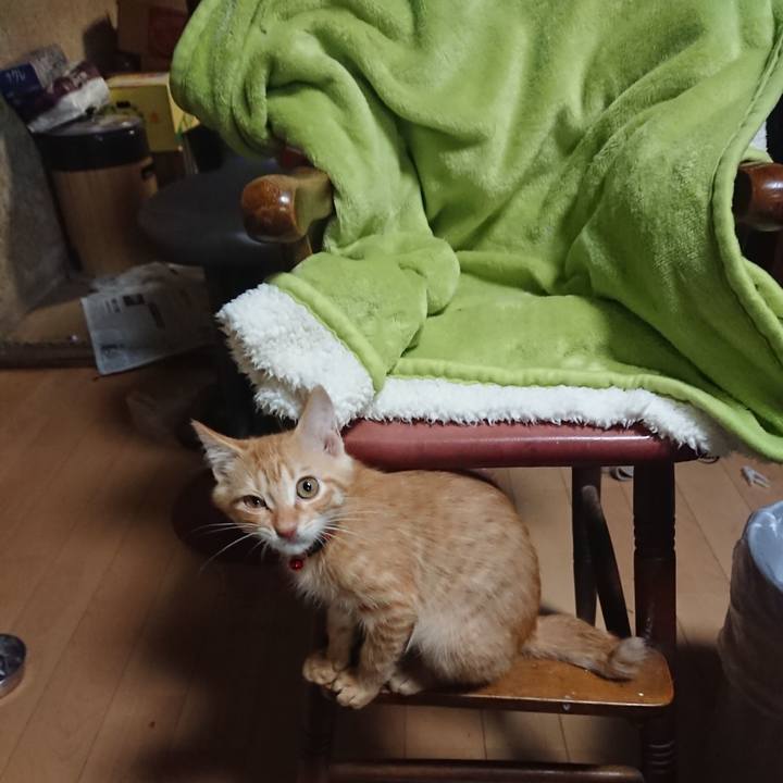 06edf734 fdf0 4cb3 9f68 9f18d0a6ddb1 1632043545200