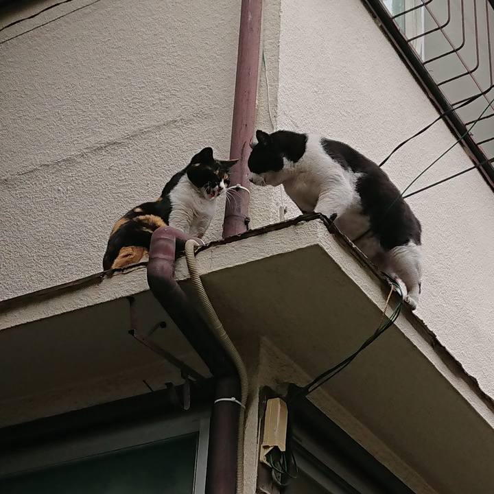 06ee0dfe 39fb 4375 8016 2303e290b3ea 1555974983009