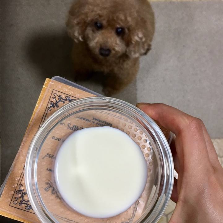 06ee10de 47b6 4356 a7cf fc14c9083c4f 1550055877049