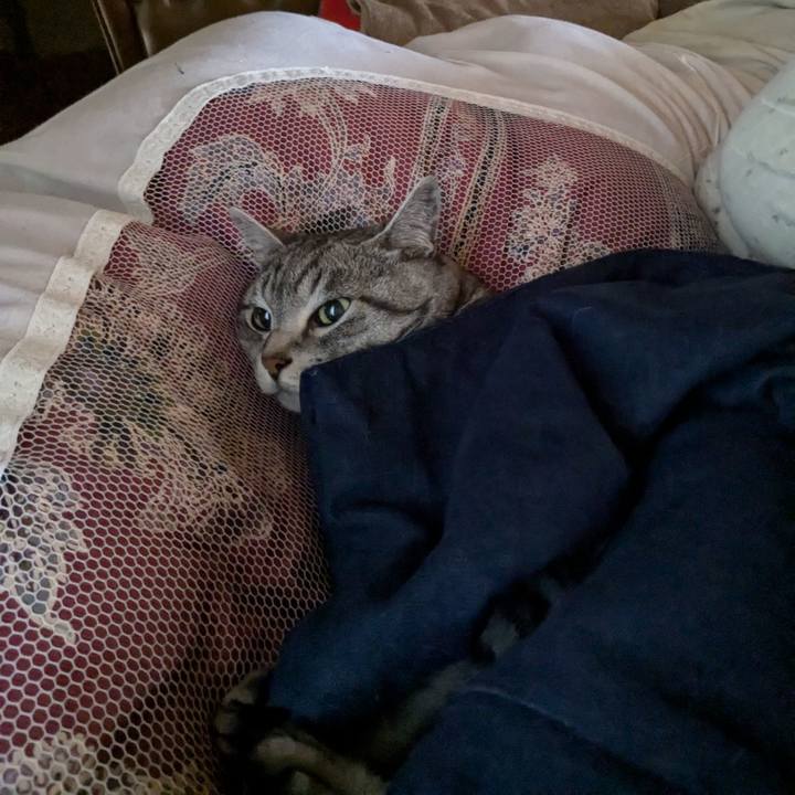 06ee13af e667 40a7 b956 667f012e6455 1725500474356