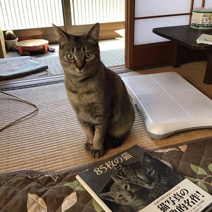 06ee193e 05ad 455f 97c5 47535a6b1abb 1584590712624