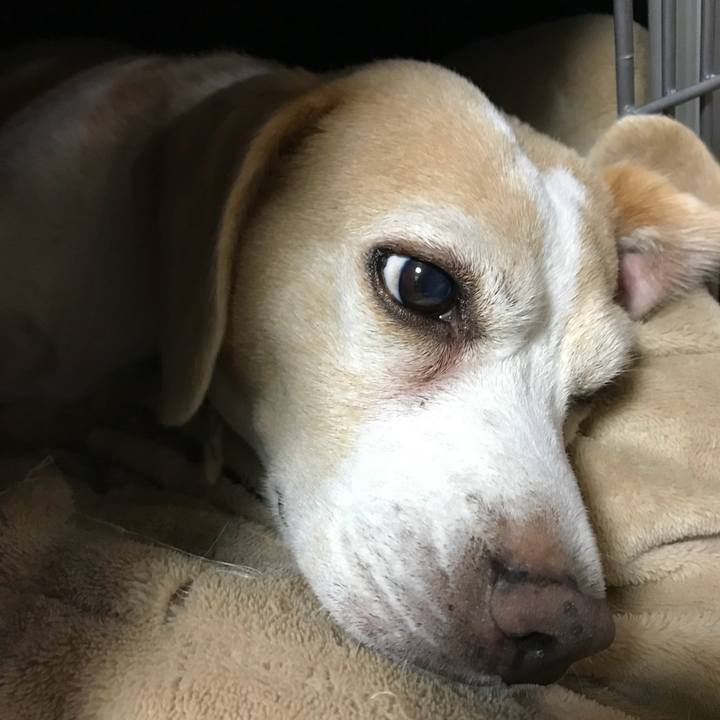 06ee3dff 3a7e 4b74 aec2 562bb6fdde90 1535530639212