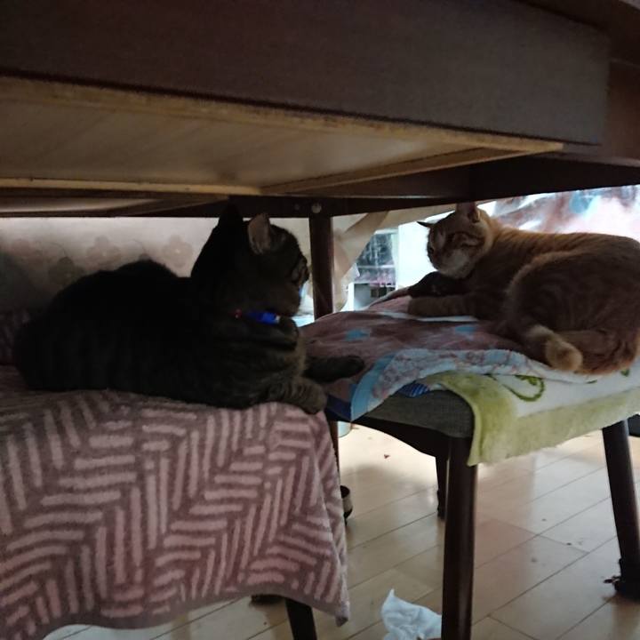 06ee5043 46fa 4adf 8dba d634e49c793e 1642626370092