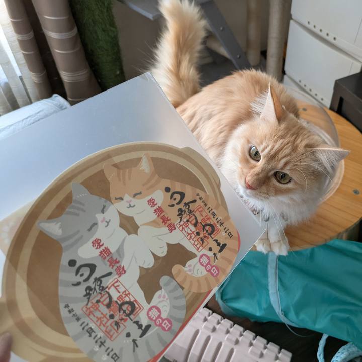 06ee5548 8b2c 4032 b0b1 60bb784217b2 1739866688524