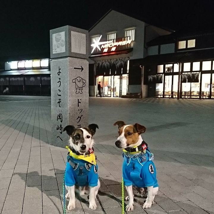 06ee7060 9963 494b 85de 48a05797bf0a 1555852138926