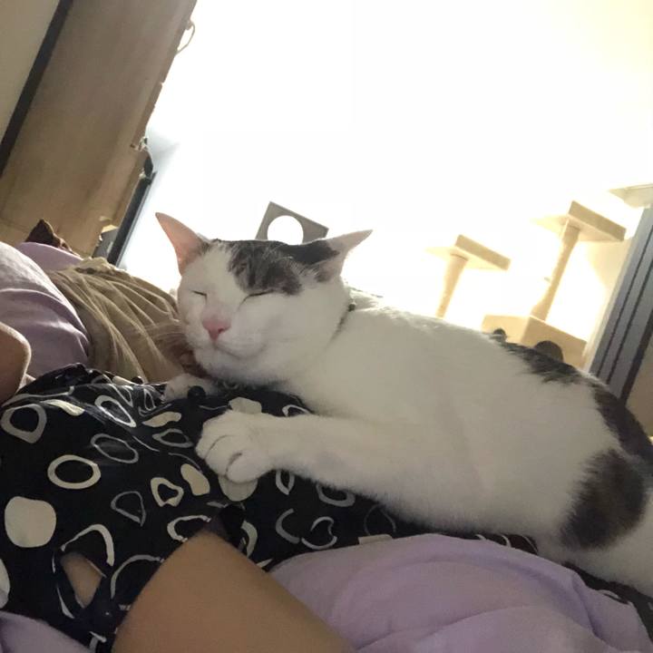 06ee9163 df6c 4706 937f e9b21eafcff1 1536280256302