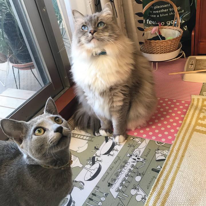 06eea070 f3b4 415c af23 3497c3fd7a8b 1514584351455