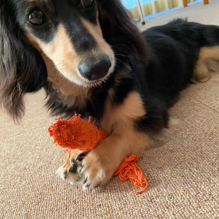 06eeaf97 1ac4 4520 8bf1 69d62ef05435 1682981631614