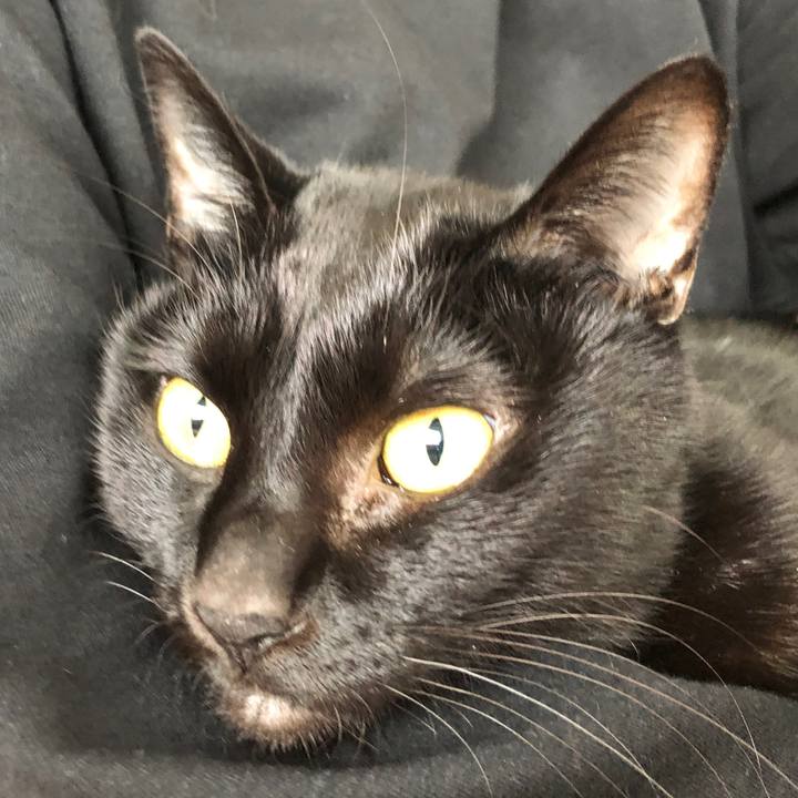 06ef0753 40fa 481e b4f2 446150163f1b 1671757401554