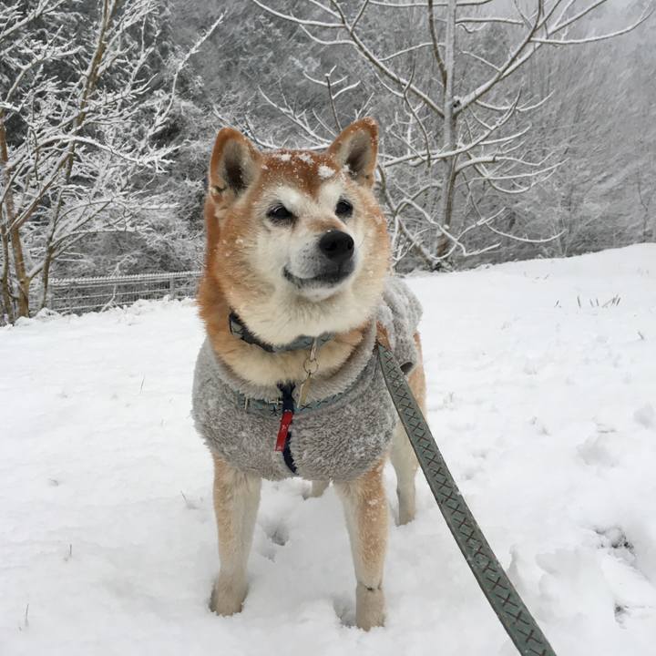 06ef07a7 6edf 4a33 a639 352bf284e098 1547082879344