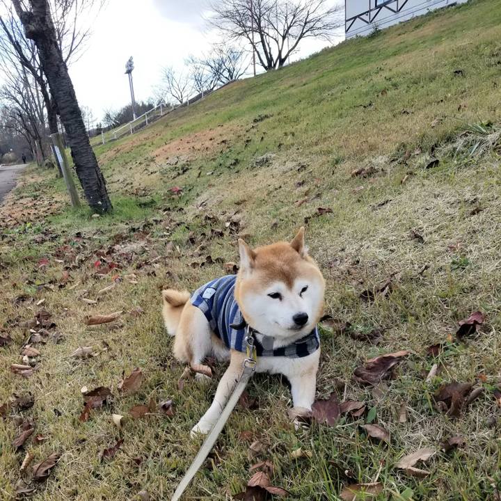 06ef12d5 00fb 4055 b277 5634089fbc02 1637643480188