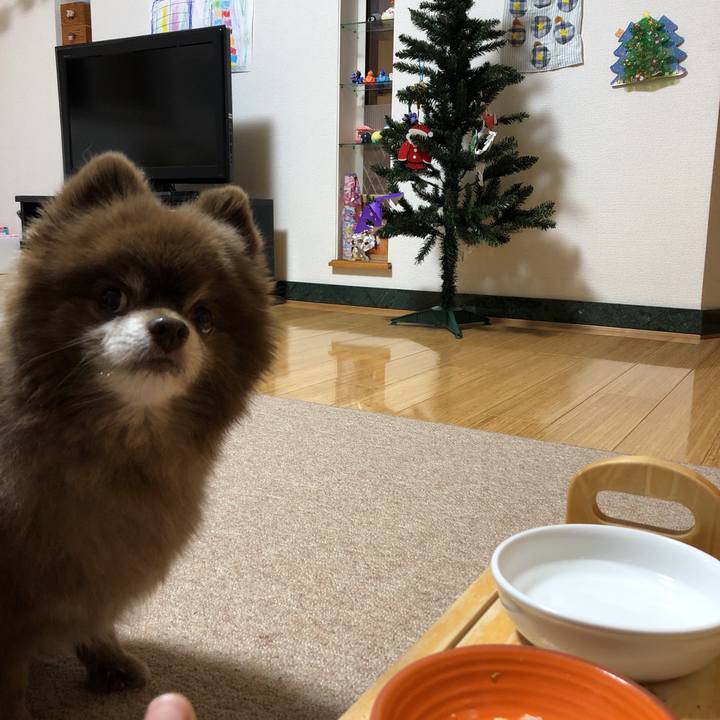 06ef3057 439b 490c 9b47 c0e4451dbdda 1638739614819