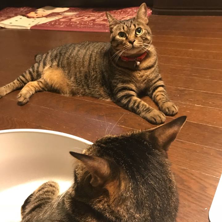 06ef584d b6f3 4428 974b bd82bc1fd1a6 1537445442078