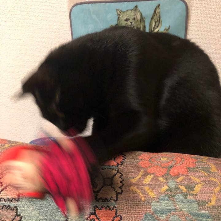 06efc418 f64a 4906 a5bc 1a7557e716ec 1529021320671