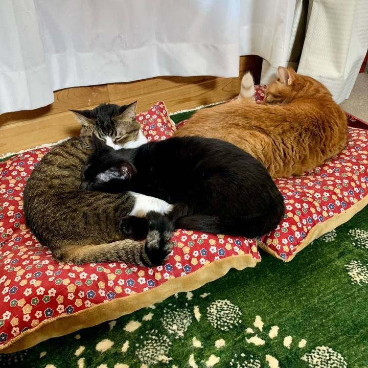 06efd1ca 33f0 41d5 8185 a53d8ece3a21 1645778361381