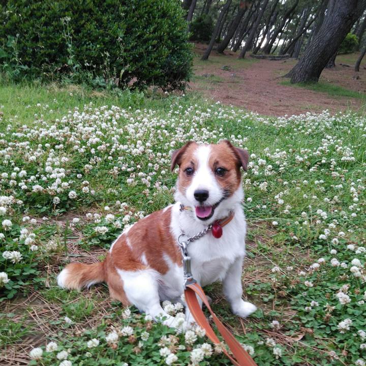 06f00086 c041 4d74 9d16 4e69b159ec08 1526721959634