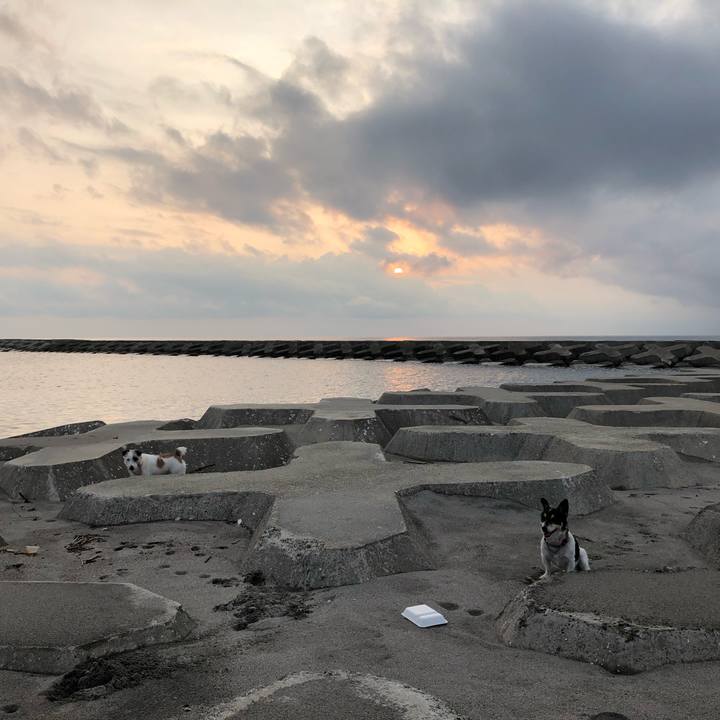 06f0420a f52d 4256 a4d2 3074b9ddea57 1566294253957