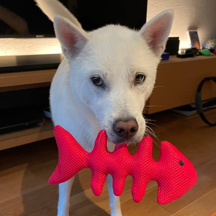 06f048c5 2e07 4c60 b575 2a1899b0484d 1626430910567