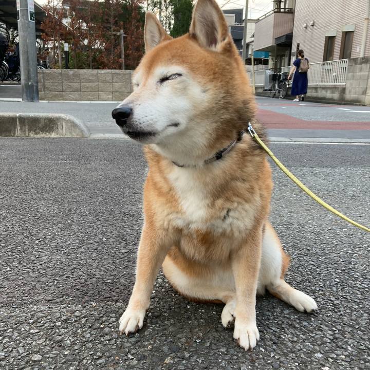 06f0501f d853 484d b52c 06c75f314043 1696063231442