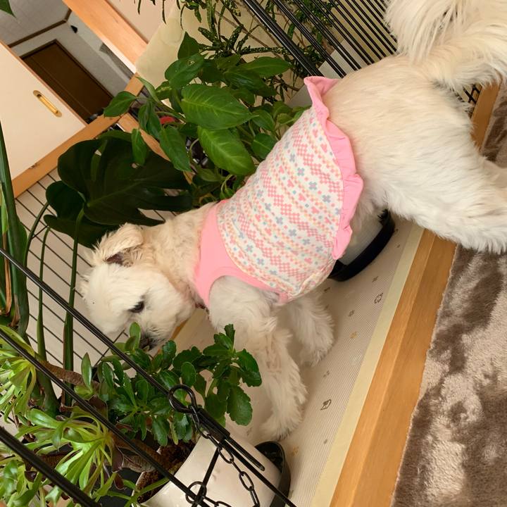 06f05918 a166 4506 a1ed 8cbea1dbb56a 1639028473501