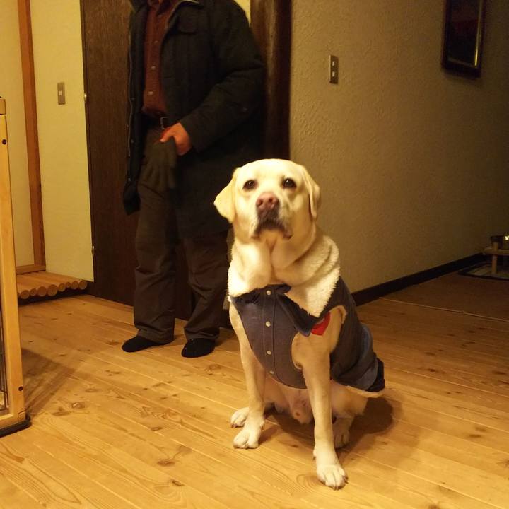 06f0a167 09f7 4009 8a24 b1f74833bba2 1546332151764