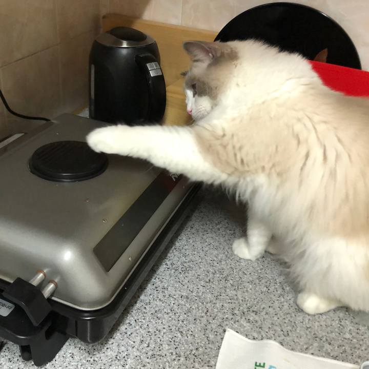 06f0a3d5 93fa 4437 8ad0 87b474b1fd6d 1594096598103