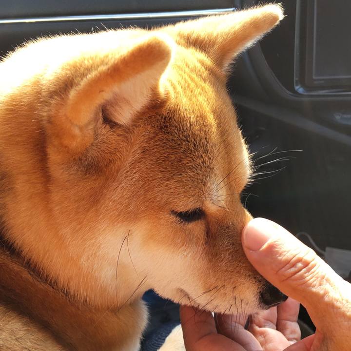 06f0ada9 5327 44d3 8b33 79b529ced585 1642653510423