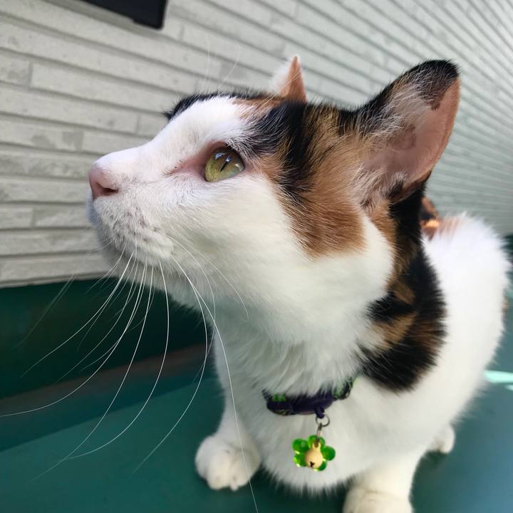 06f0c4c6 9b61 4c07 b67d 899336384fca 1538356143217