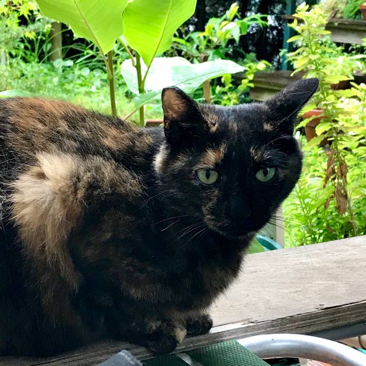 06f0fc90 dc15 46d4 8e81 4d619cef07e9 1530878259051