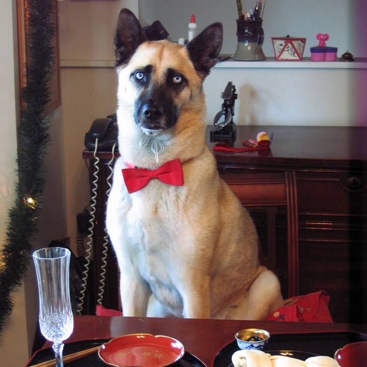 06f148f3 fdd2 4476 a2e8 977d8fa182f7 1601428060047