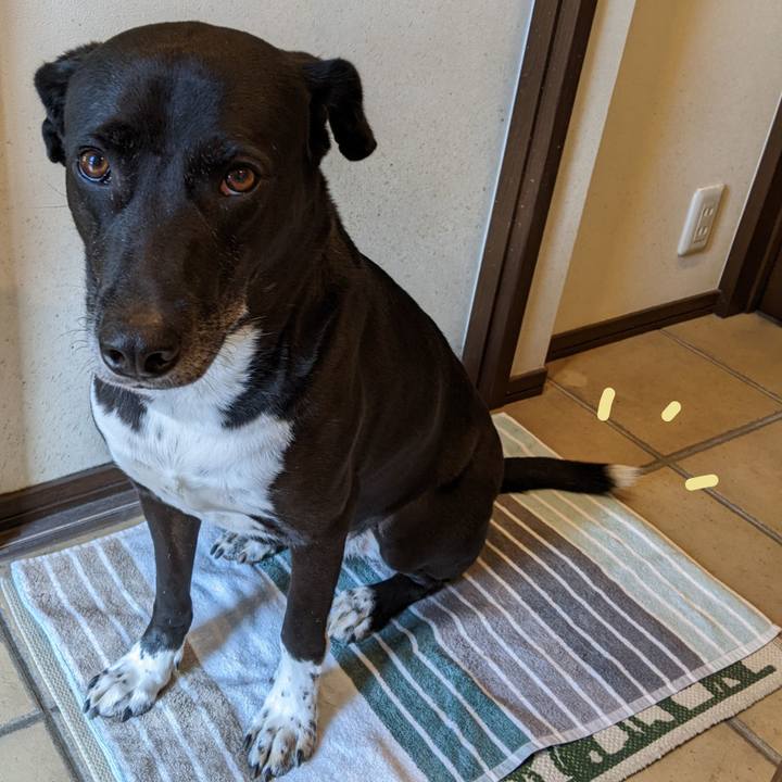 06f15b17 4d14 4649 85e7 e8cb68f35328 1667732763254