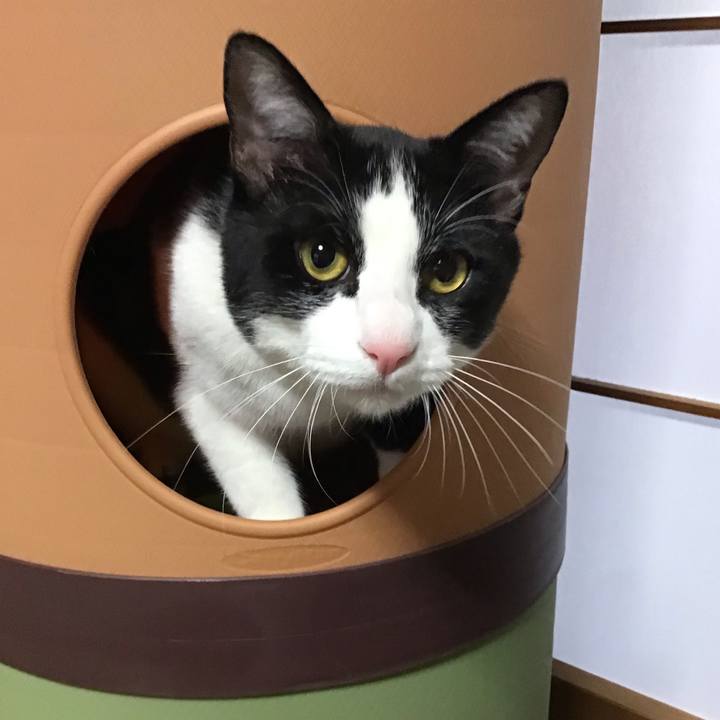 06f17c8f 96e5 4a37 ba12 6f7d67c86c42 1650187956292