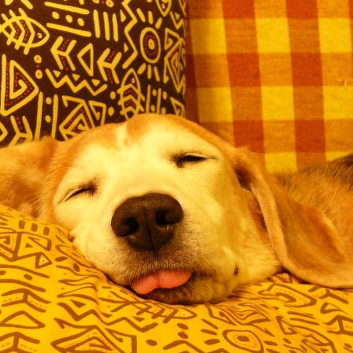 06f17e33 5636 4282 8ae0 d286bd9647de 1670030199986