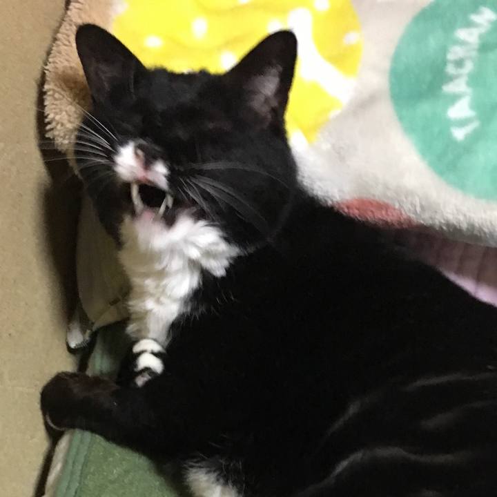 06f1ac9d 5b35 48b7 9e3f 153164f88480 1524833420796