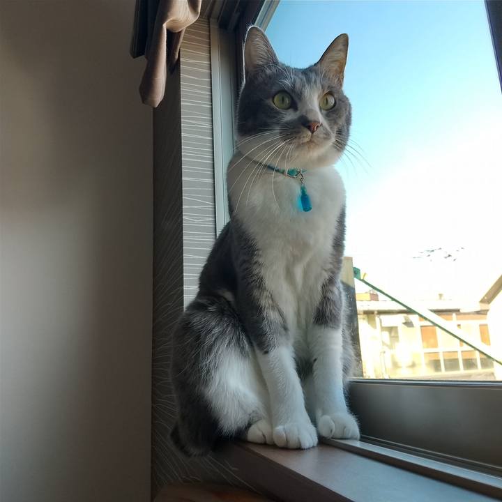 06f1d2e2 e50f 4e6b b261 35a8adaf6ffe 1638585767377