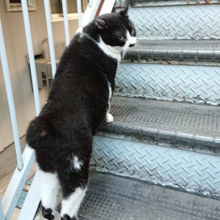 06f1f06d b03a 4b2f 9456 7f5b7691a784 1660038096184