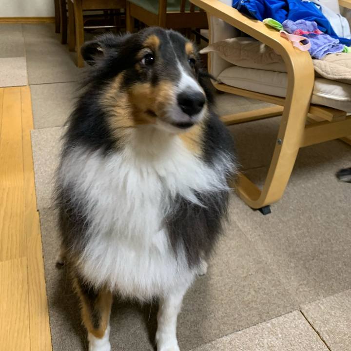 06f22e70 fe81 4e8a a909 8c9c6cb42a80 1603228074752