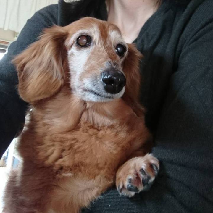 06f243fc d73c 4290 861e 7b6c5e2a72c4 1774630352939