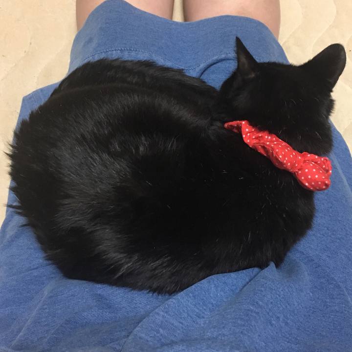 06f27ce5 7d5e 46ca 8e2d 38f6b284775d 1547476310856